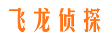 凤山背景调查